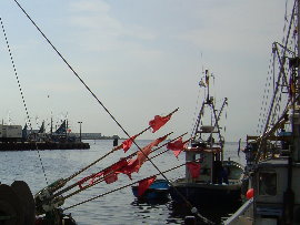 Boote1_015